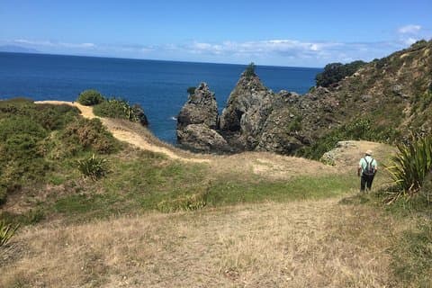 Prachtige Auckland East Coast Walk & Wine privétour