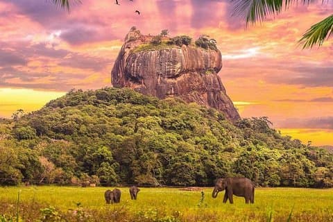 Kandy nach Sigiriya Tagestour und Dambulla Höhlentempel mit Privatfahrzeug