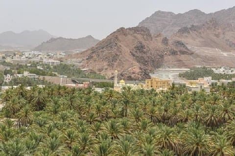 Amouage, Fanja Village & Wadi Taiyyin: Muscat Tours (Dagstur)