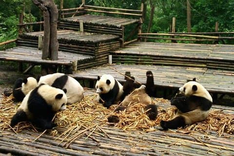 All Inclusive Tour Boutique de Destaques Chengdu