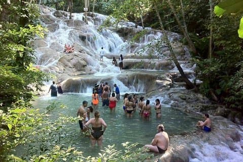 Tour privado por las Cataratas del Río Dunn y Jamaica