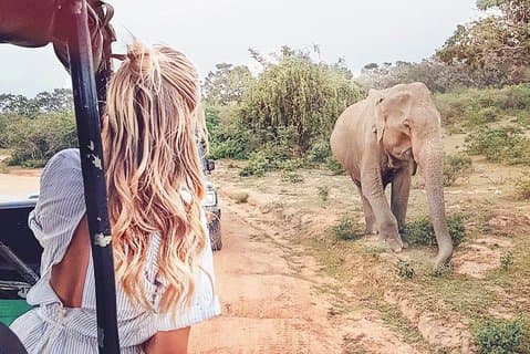 Wild Safari Udawalawe dal Monte Lavinia
