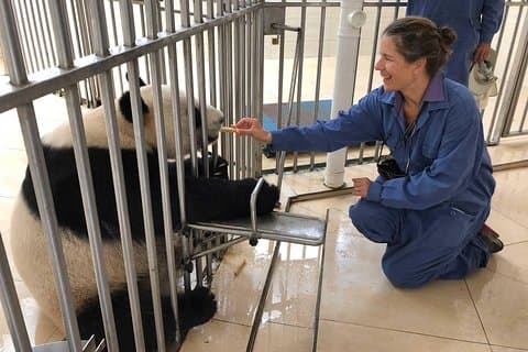 All-inclusive Private Day Tour af Panda Volunteer Experience i Chengdu
