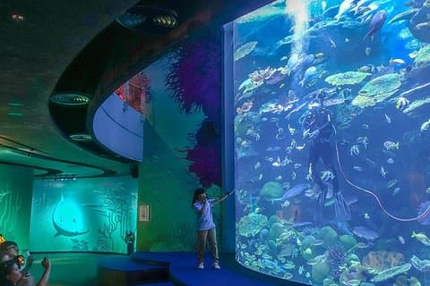 SEA LIFE Bangkok Ocean World Adgang med privat overføring