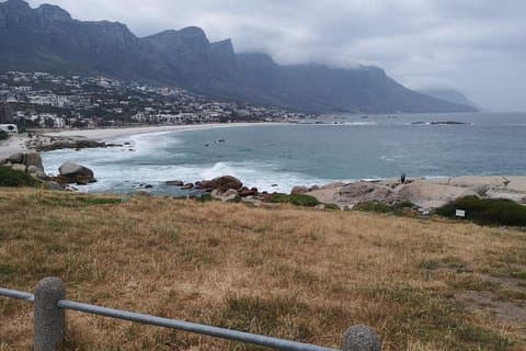 Visite privée des pingouins du Cap de Bonne-Espérance à Kirstenbosch