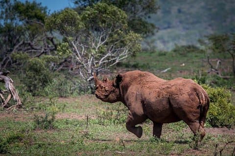 Hotell i nærheten av Aquila Safari Game Reserve