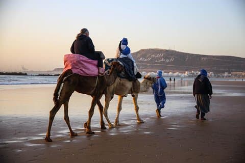 Passeio de camelo pôr do sol na bela praia de agadir