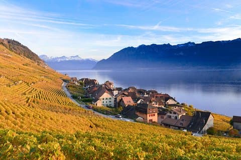 (KTG302) - Gita di un giorno a Montreux e Château DE Chillon da Ginevra