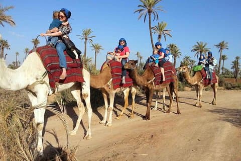 Kamelritt in Marrakesch
