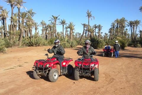 Top Activities : Quad Bike Tour From Marrakech to Agafay Desert or Palm Grove