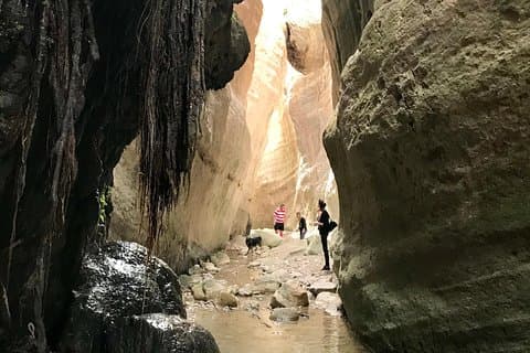 Halvdags safaritur til Akamas-halvøen fra Paphos