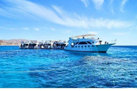 Dykking med båttur til Ras Mohammed og den hvite øya Snorkling, Sharm El Sheikh