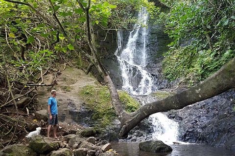 Ganztägiges Oahu-Kombiangebot: Fahrrad, Wandern, Segeln und Schnorcheln