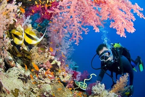 Intro dykking og snorkling dagstur