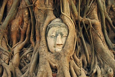 Ayutthaya Sunset Tour : Ikoniska tempel och naturskön flod båttur