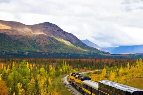 Alaska Railroad Denali to Anchorage One Way