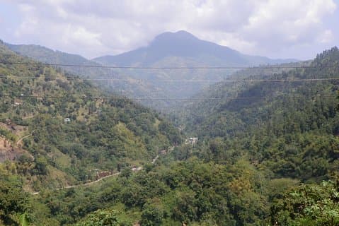 Blue Mountain Tour with Hotel Transportation