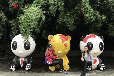 Morgen tur av Giant Panda Base i Chengdu