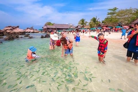 Tropical Escape: Phi Phi Islands by Speedboat from Phuket