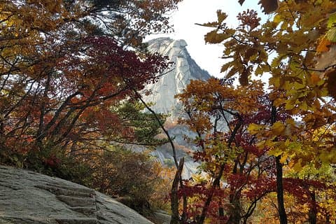 Privéwandeltocht naar Bukhansan Peak (Baegundae: 836,5 m) met Mountain Expert