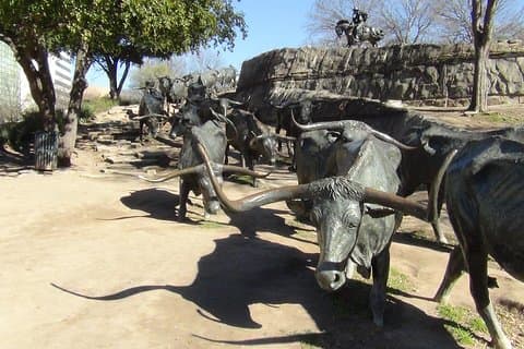Dallas e Fort Worth City Excursão turística em grupo pequeno