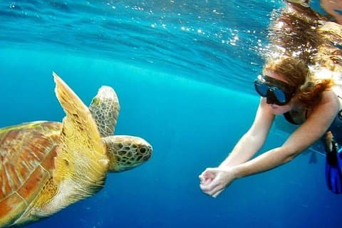 Surin Inseln erkunden: Ultimativer Schnorchel-Tagesausflug von Phuket