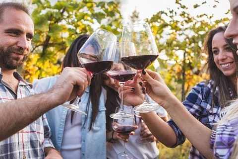 Private Chianti Tuscany Wine Tasting Tour from Florence