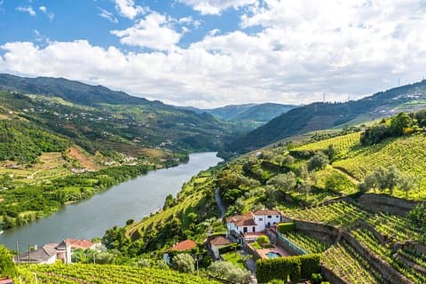 Porto: Day Trip to Douro including lunch and Rivercruise
