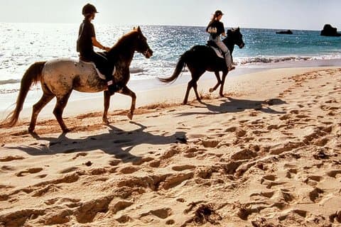 Krabi Beach Horse Experience com transferências de hotel