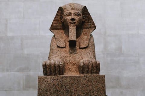Tour semi-privato del Metropolitan Museum of Art "The Met" 8ppl Max