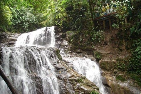 Veragua Rainforest Eco-Adventure + Flygspårvagn + Tortuguerokanalen