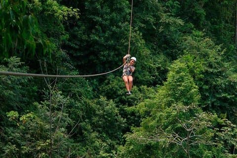 Crocodiles Safari & Zipline adventure - Private Sightseeing Tours