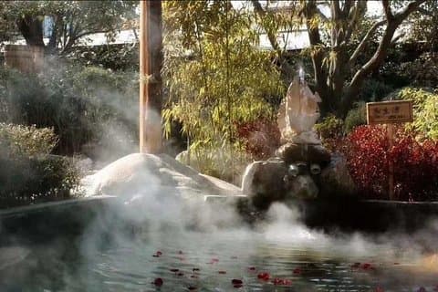 Half Day Xian Luxury Tour: Hot Spring & Local Banquet Themed with Qin Culture