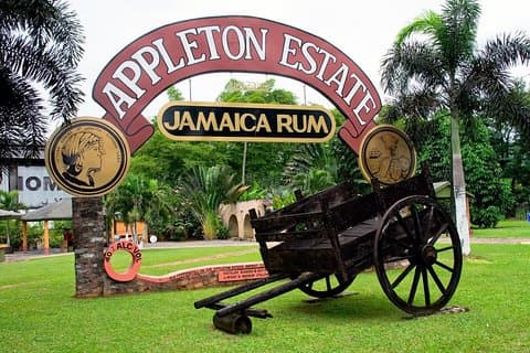 Hoteller i nærheden af Private Appleton Estate Rum & YS Falls Tour