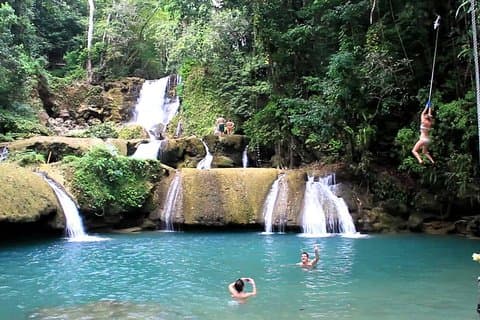 YS Falls & Black River safari