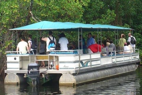 Privat Black River Safari Tour från Montego Bay