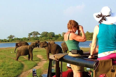 WAARDE PAKKET! Eendaagse safaritocht naar de parken Yala en Udawalawa