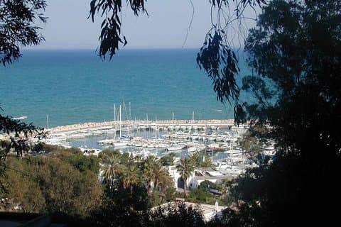 day full carthage _sidi bou said _museum of Bardo and the medina of Tunis