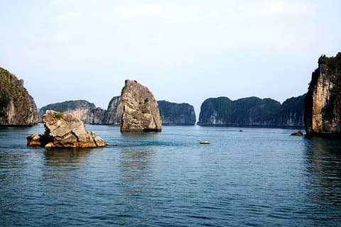 7 días sabor de Vietnam