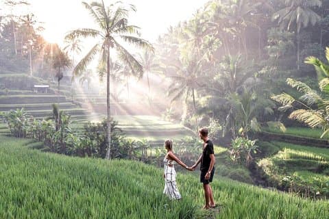 Ubud Scenery Private Tour op Bali