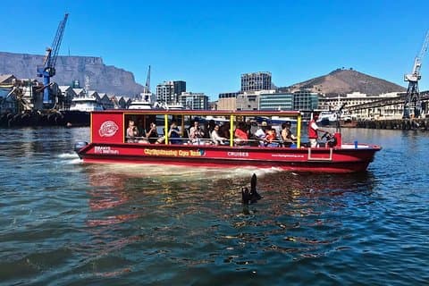 Croisière V & A dans le port de Cape Town, 30 minutes