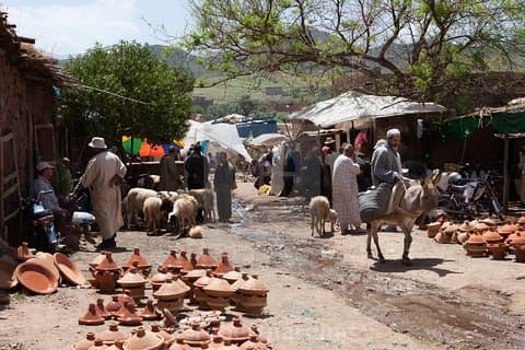 Dagtrip naar Marrakech naar het Atlasgebergte van de Ourika-vallei