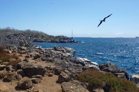 Severdigheter i nærheten av North Seymour Day Trip Galapagos