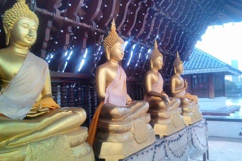 Colombo Walking Tour mit ayurvedischem Lernen
