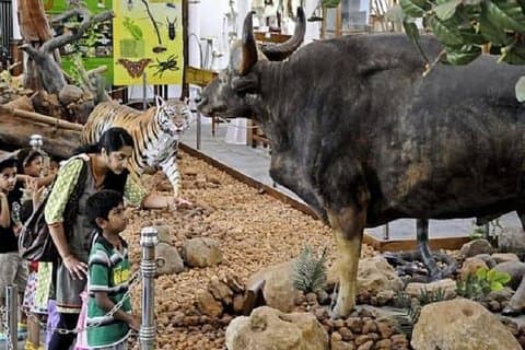 Gass Forest Museum with Lunch - Coimbatore