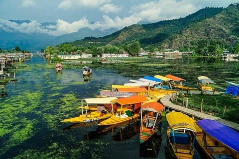 Hele dagen tur til Srinagar med inngangsbillett, guide, Shikara ride og lunsj