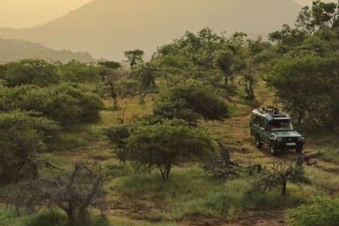 El mejor safari de Kenia