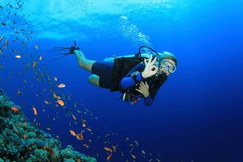 Discover Scuba diving with 2 dives on Koh Tao Or Koh Nangyuan