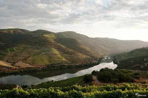 Nuestro magnífico valle del Duero