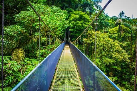 Arenal hängande broar och La Fortuna vattenfall naturvandring